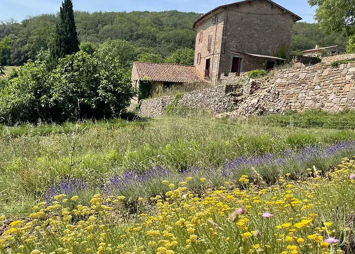 ゲストハウス Ferme D'hotes De Pouzes Pezenes-les-Mines